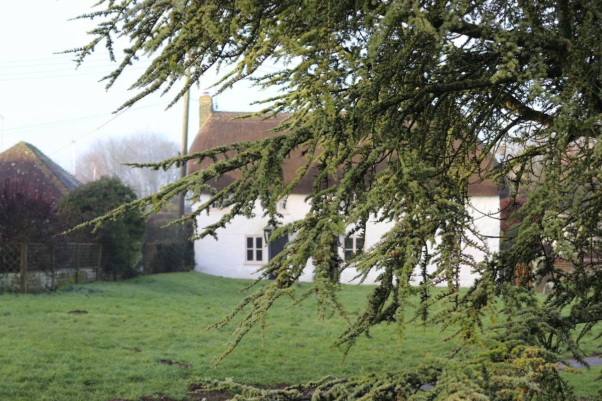 Stone-walled historic retreat house with ivy and wooden shutters illustrating what is retreat house